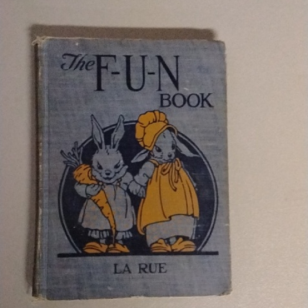 The F-U-N Book - Gray and Orange